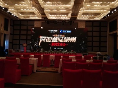 東巴象家裝集團(tuán)柳州新聞發(fā)布會(huì)成功舉辦，引領(lǐng)家居定制新篇章